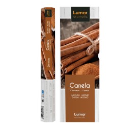INCIENSO PERF. CANELA 20 BARRITAS