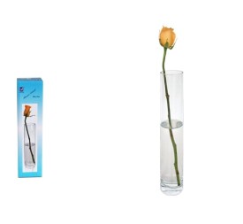 FLORERO CRISTAL R.6*25CM