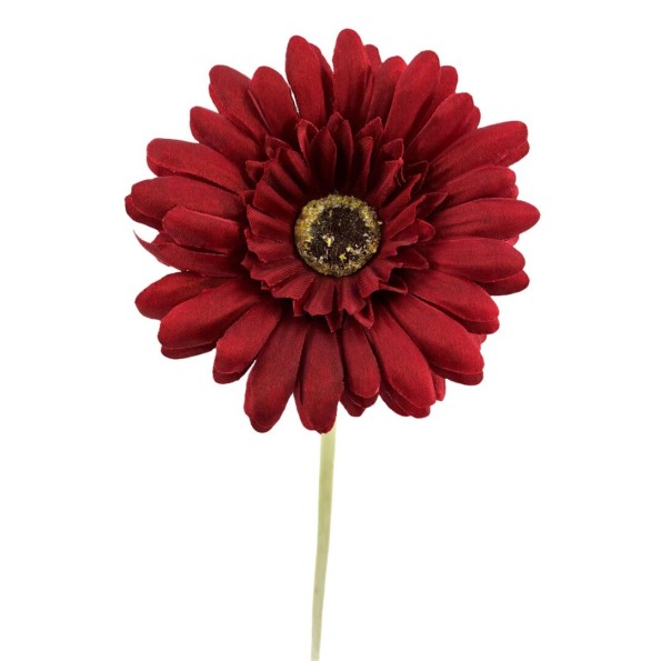 GERBERA X1 BURDEOS 60cm(10cm) (A216-3)