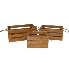 CAJA MADERA WARREN X3 MIEL
