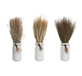 PLANTA FLOR SECA CRISTAL 7X7X30 3 SURT.