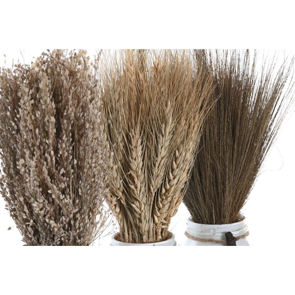 PLANTA FLOR SECA CRISTAL 7X7X30 3 SURT. (3215)