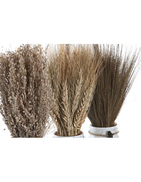 PLANTA FLOR SECA CRISTAL 7X7X30 3 SURT. (3215)