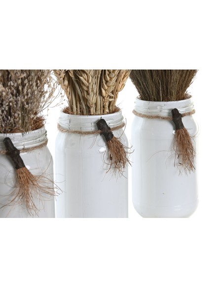 PLANTA FLOR SECA CRISTAL 7X7X30 3 SURT. (3215)
