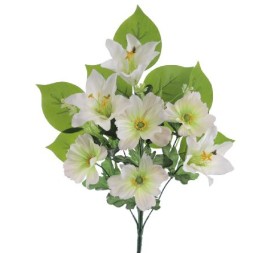 PALMA LILIUM COSMOS CREMA (8465-01)