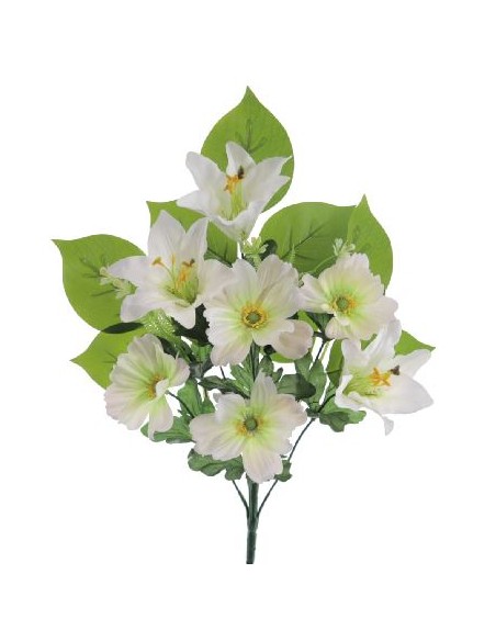 PALMA LILIUM COSMOS CREMA (8465-01)