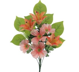 PALMA LILIUM COSMOS SALMON (