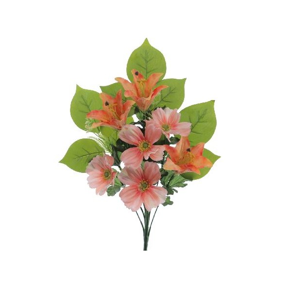 PALMA LILIUM COSMOS SALMON (