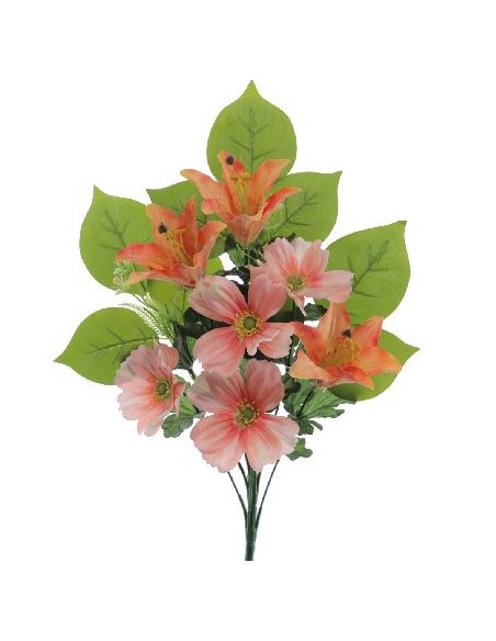 PALMA LILIUM COSMOS SALMON (