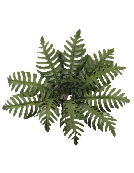 MATA PALMERA OTOÑAL X10