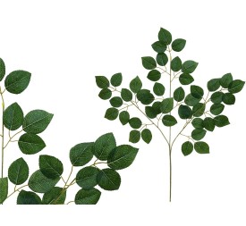 VARA HOJA ROSAL X 45 -69 CM