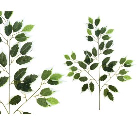 VARA HOJA FICUS X 42-63CM (VERDE/BL)