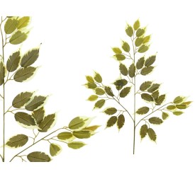 VARA HOJA FICUS X 42-63CM (VERDE/CL)