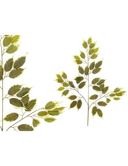 VARA HOJA FICUS X 42-63CM (VERDE/CL)