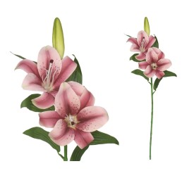 VARA LILIUM R/TOUCH X 3 -70CM (BURDEOS)