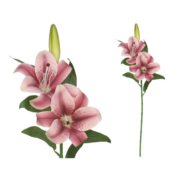 VARA LILIUM R/TOUCH X 3 -70CM (BURDEOS)