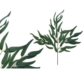 VARA EUCALPYTUS X 42 -71 CM