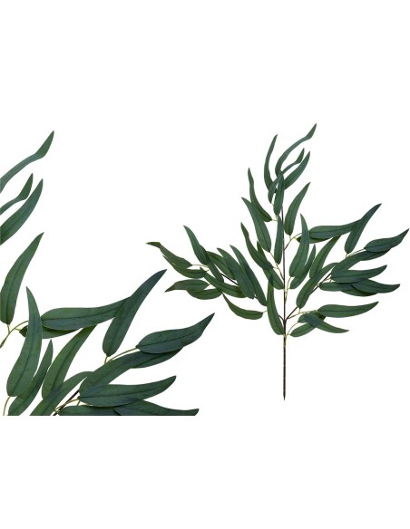 VARA EUCALPYTUS X 42 -71 CM