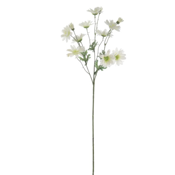 MARGARITA 68 CMS (1206-01)