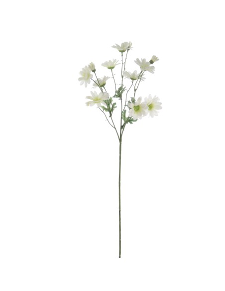 MARGARITA 68 CMS (1206-01)