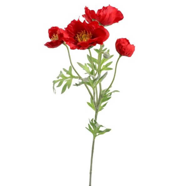 PAPAVER (4689-08)