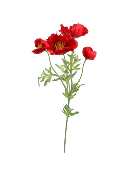 PAPAVER 62 CMS (4689-08)