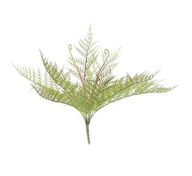 HELECHO X 10 (6374-09)