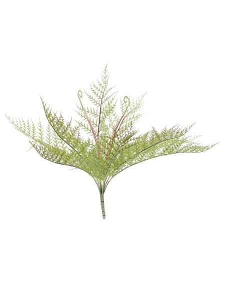 HELECHO X 10 (6374-09)