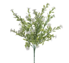 RAMOS SILVESTRE (7311-01)