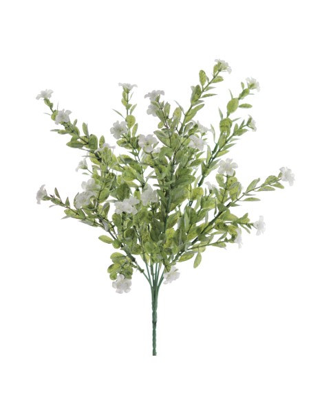 RAMOS SILVESTRE (7311-01)