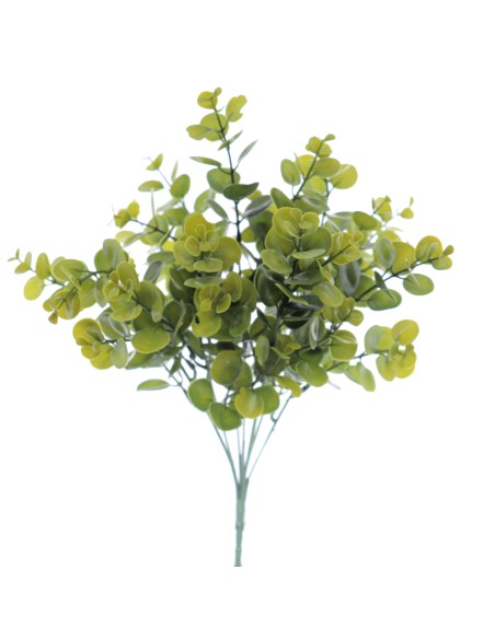 RAMO EUCALYPTUS (9308-23)