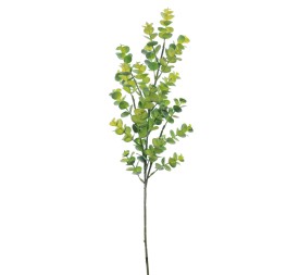 EUCALYPTUS ( 9370-09)