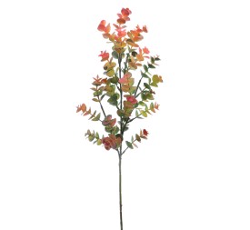 EUCALYPTUS (9370-57)