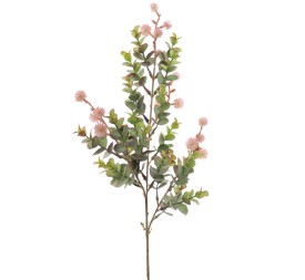 EUCALYPTUS SILVESTRE MIX (9578-06