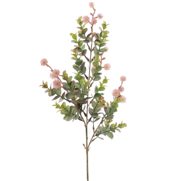 EUCALYPTUS SILVESTRE MIX (9578-06)