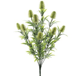 RAMO TRIFOLIUM (9328-01)