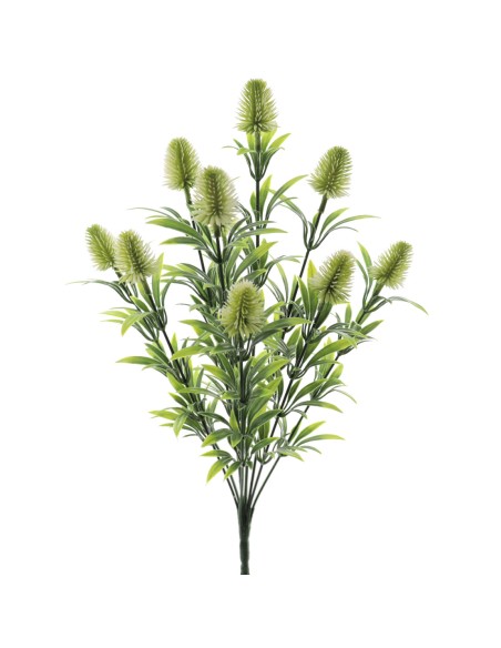 RAMO TRIFOLIUM (9328-01)