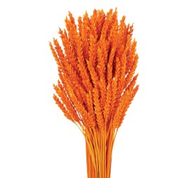 TRIGO FLO 80 cms NARANJA (23)
