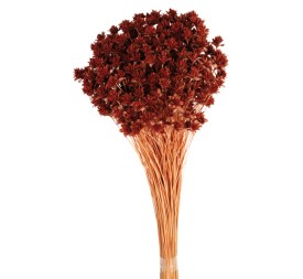 HILL FLOWER 45 cms. MARRON  (32)
