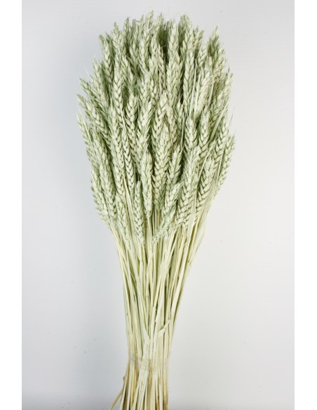 TRIGO FLO 80 cms. VERDE (F60)