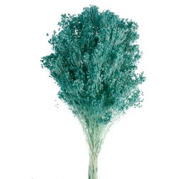 BROOMS BLOOMS 50 cms. AZUL (74)