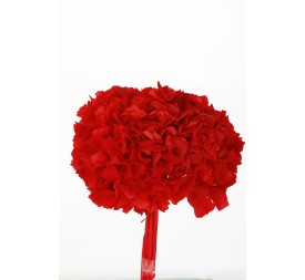 HORTENSIA PRESS ROJO (B54)
