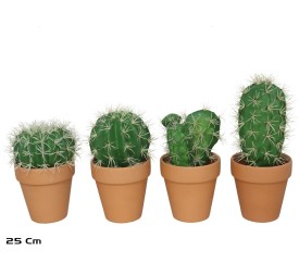 MACETA TERRACOTA CACTUS 18-25 CM (SURT)