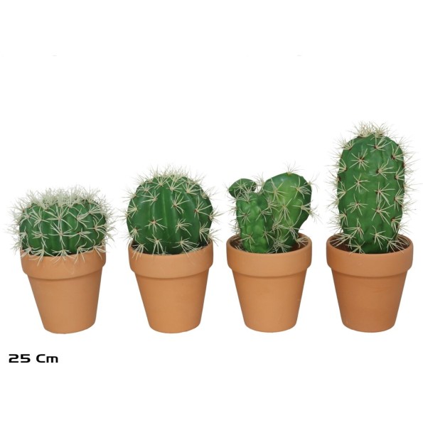 MACETA TERRACOTA CACTUS 18-25 CM (SURT)