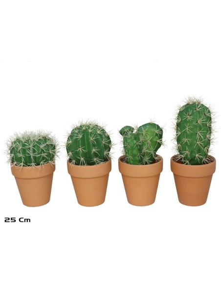 MACETA TERRACOTA CACTUS 18-25 CM (SURT)