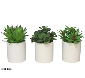 MACETA CERAMICA SUCULENTAS 20 CM (SURT)