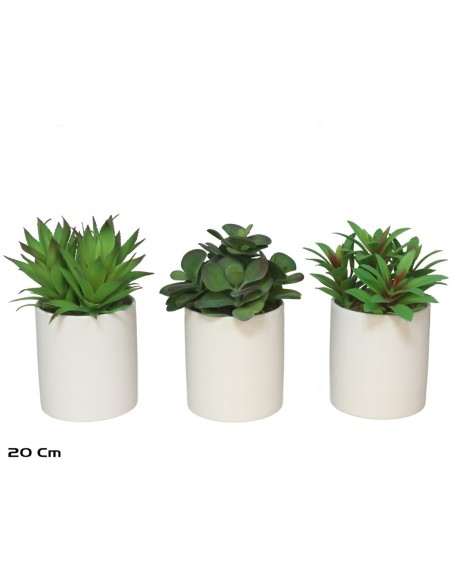 MACETA CERAMICA SUCULENTAS 20 CM (SURT)
