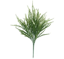 RAMO ERICA 43 CMS (6342-01)