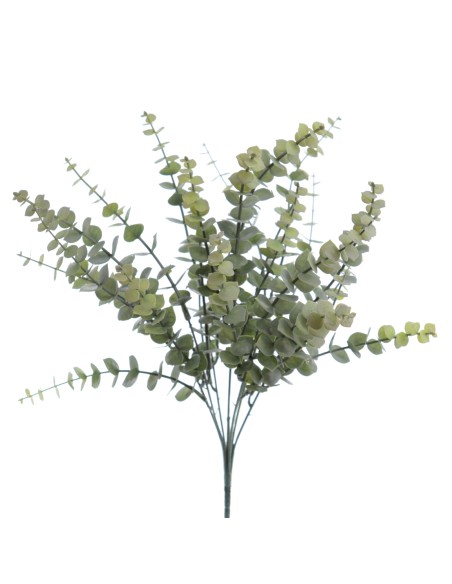 RAMO EUCALYPTUS VERDE FOLCAD