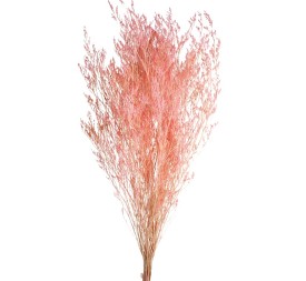 CASPIA PRESS 70 cms.  ROSA (40)